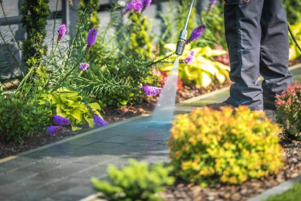 Best Sidewalk and Walkway Cleaning  in Munford, AL